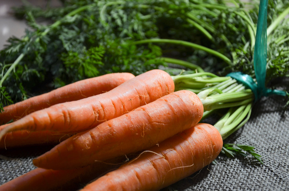  Zoom sur la Carotte : Reine des Jardins et des Marmites