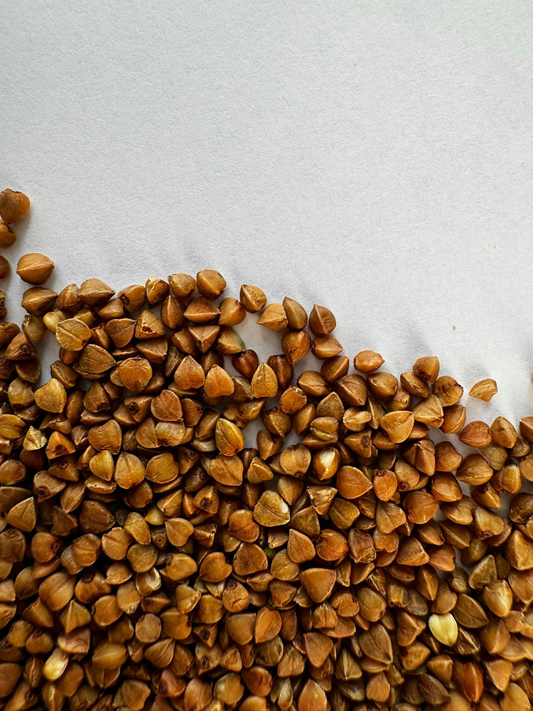  La galette au sarrasin : traditions, secrets et recettes pour une Chandeleur 100 % salée