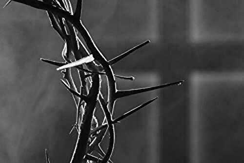 ️ 10 Idées de recettes pour un Vendredi saint tout en douceur