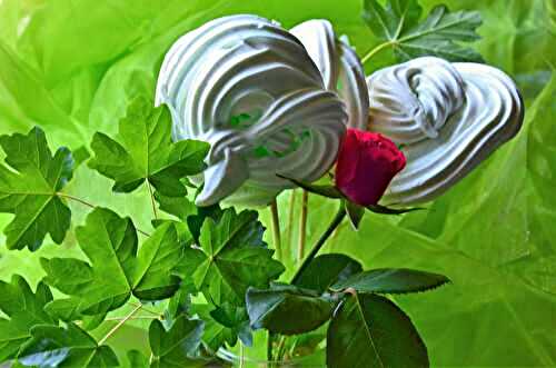  Bouquet de meringues pour la Fête des Mères