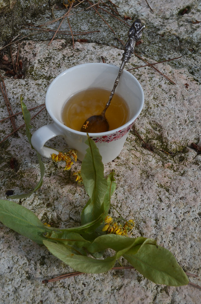 Gelée de tilleul