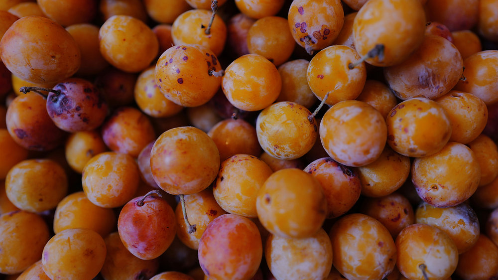  La Mirabelle, l’or du jardin