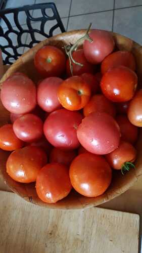 Sauces aux tomates fraîches du jardin