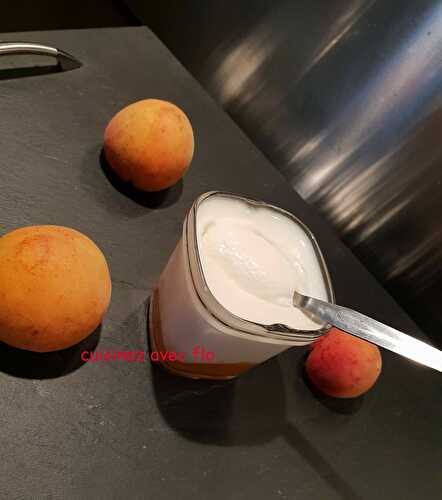 Yaourts sur lit d’abricots bio avec la multi-délices SEB