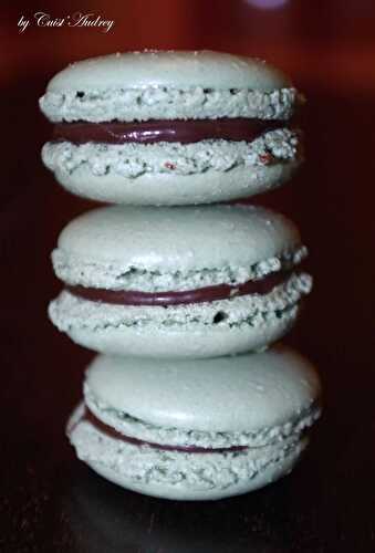 Macarons menthe chocolat