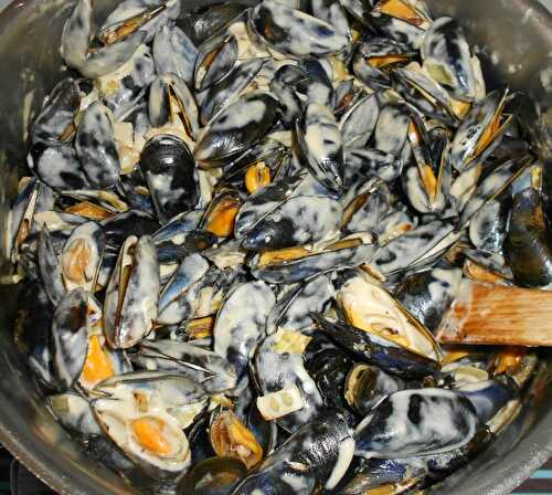 Moules au Roquefort