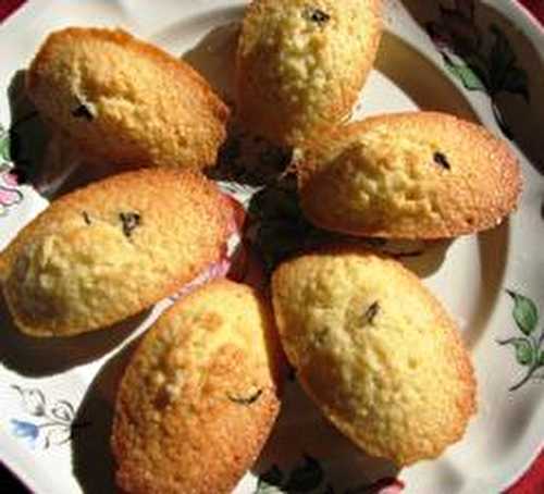 Madeleine au thé Earl Grey