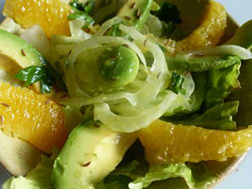 Salade d’avocat, fenouil et orange