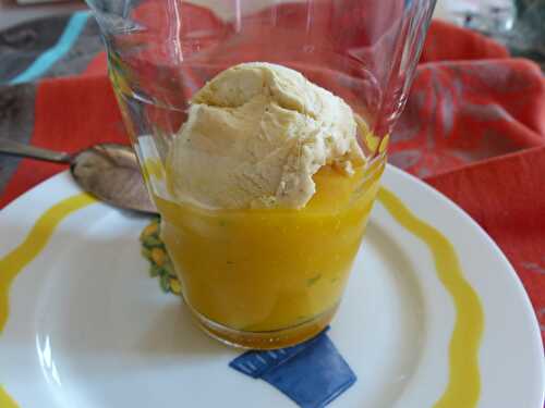 Gaspacho de mangue et glace vanille