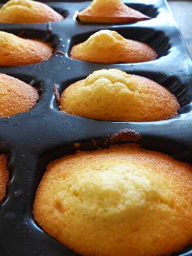 Madeleines aux agrumes