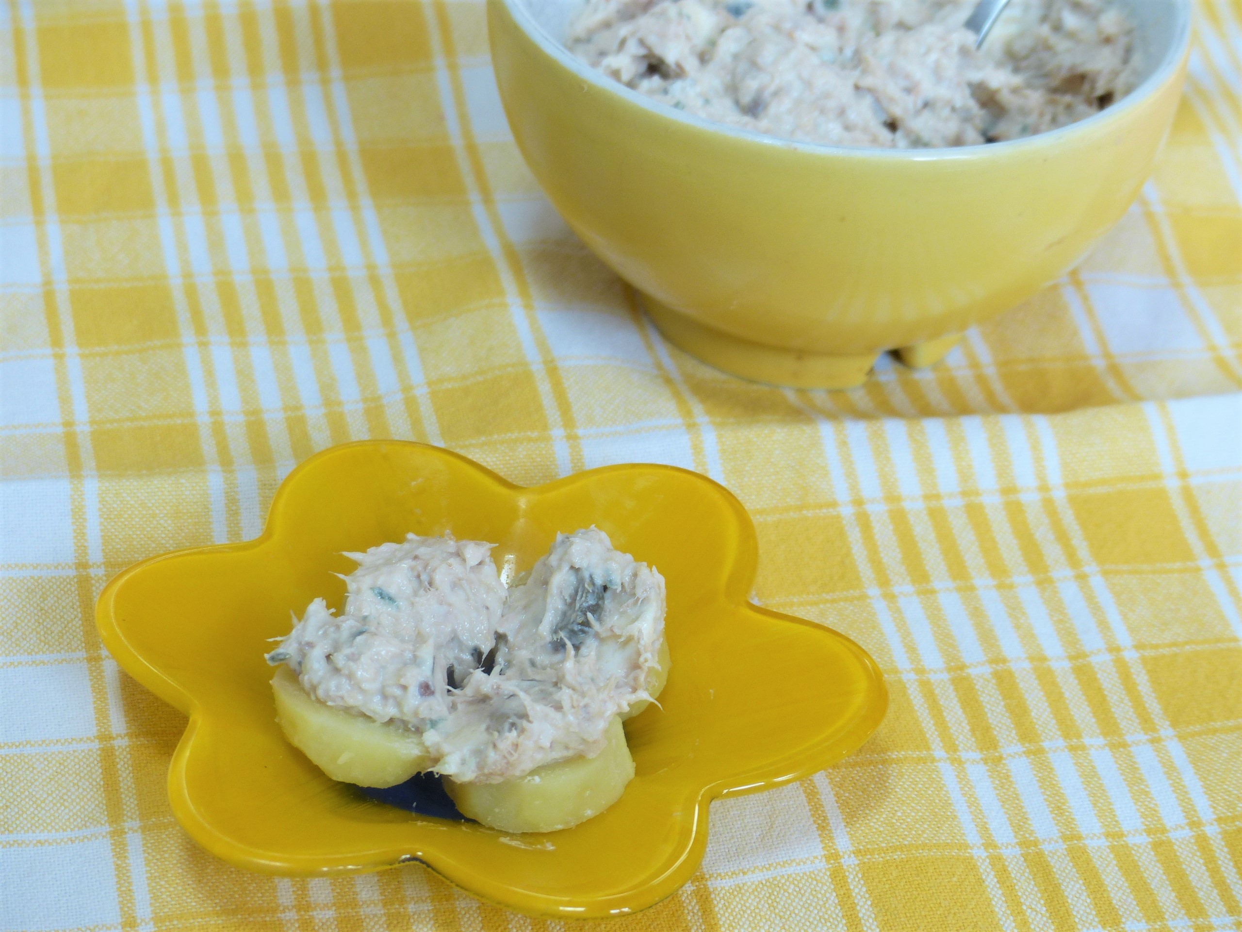 Rillettes de thon au boursin