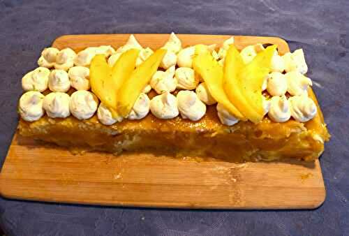 Gâteau Bûche mangue passion