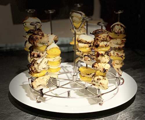 Brochettes de poulet miel citron / Test kit brochettes Ninja Foodi Max