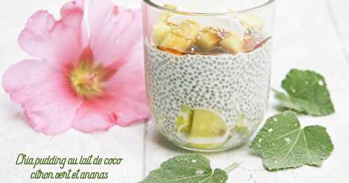 Chia pudding au lait de coco, citron vert et ananas.