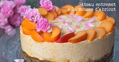 Gâteau entremet à la mousse d'abricot 