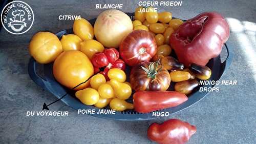 MA COLLECTION DE TOMATES 