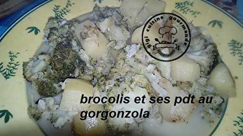 BROCOLIS, PDT au gorgonzola au cookéo