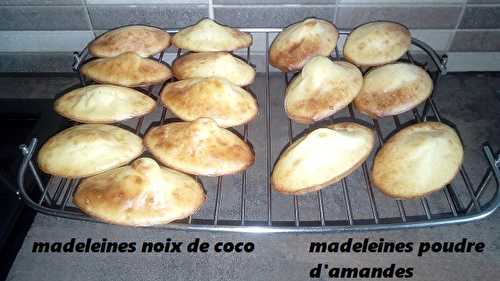 Madeleines  à la noix de coco ou poudre d'amandes (thermomix)