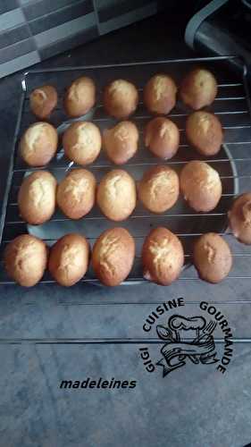 Madeleines faciles au thermomix