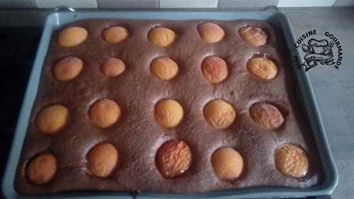Gâteau abricots et chocolat