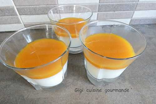 Panna cotta allégée mangue au compact cook pro