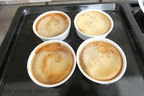 FLAN au SPECULOOS