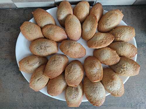 Madeleines à la crème de noisettes