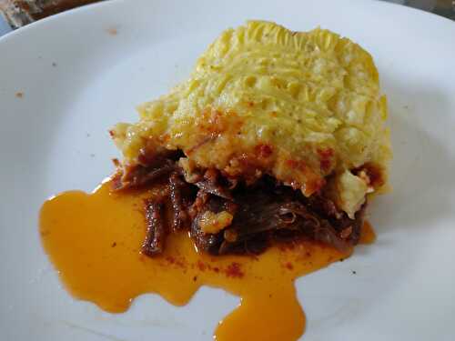 Parmentier de canard 