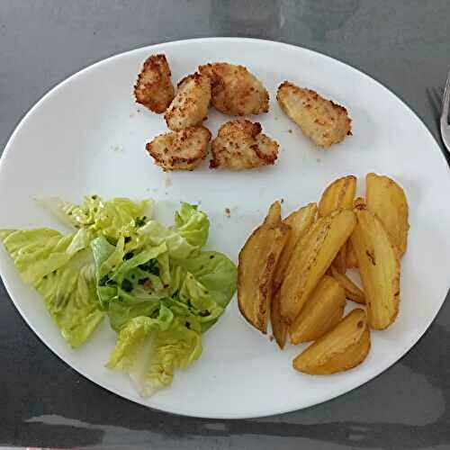 Nuggets maison au combi ninja