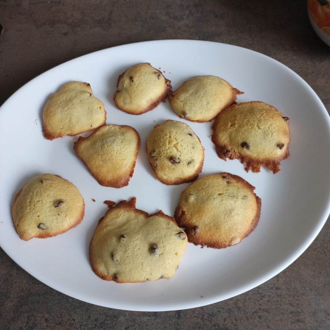 Palets aux pépites de chocolat au combi ninja