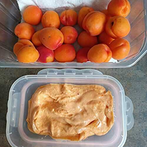 Sorbet abricot au compact cook pro 