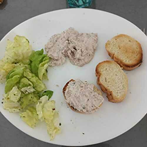 Rillettes de thon et Saint Moret 