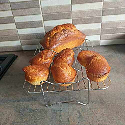 Moelleux yaourt citron à l'air fryer Ninja FOODI AF 400EU