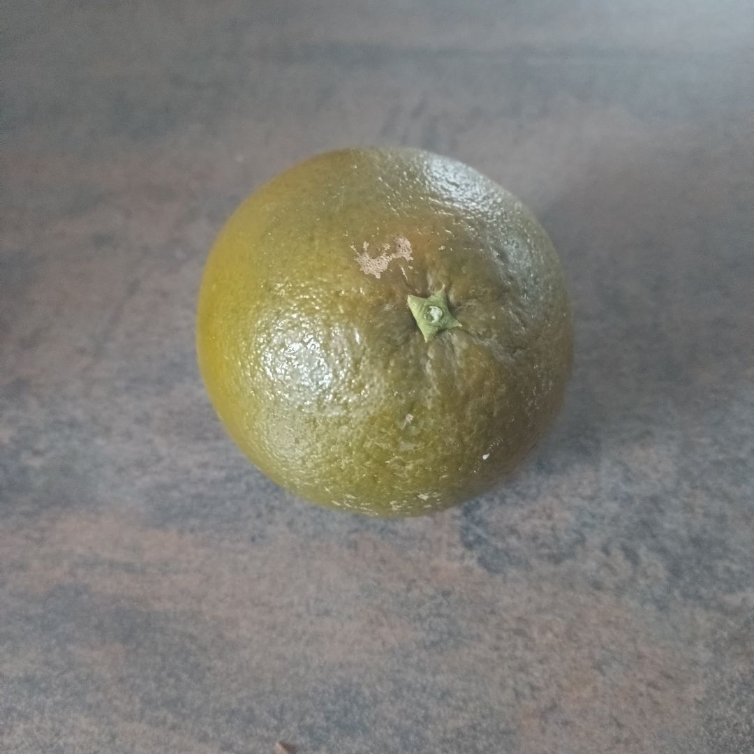 J'ai testé l'orange chocolat