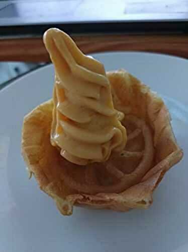 Crème glacée pêche et abricot avec la swirl Ninja