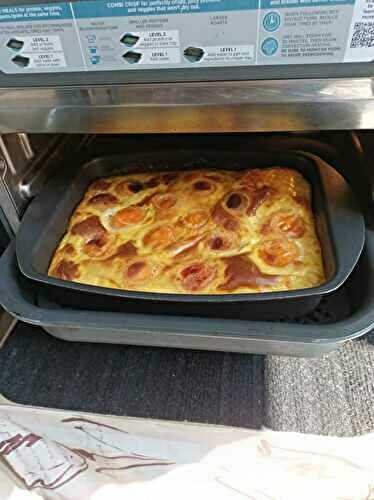 Flan léger aux abricots avec le combi Ninja