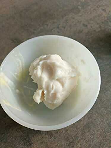 Glace aux litchis avec la swirl Ninja