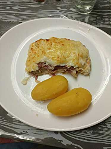 Gratin d'endives Jambon Serrano et béchamel au combi Ninja