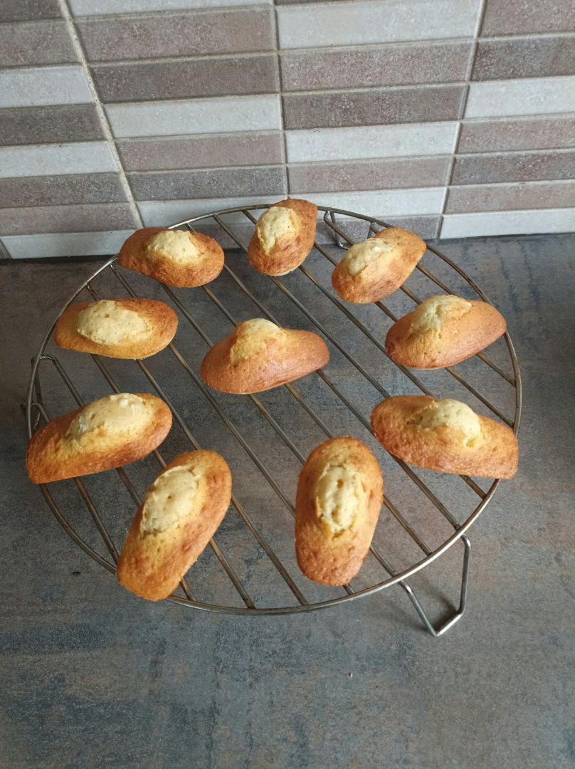 Madeleines à la vanille au combi Ninja