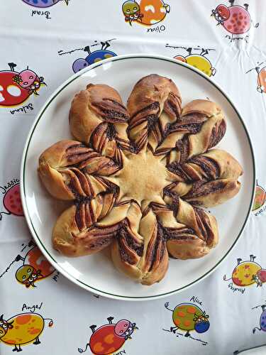 Brioche étoilée au Nutella (recette au levain)