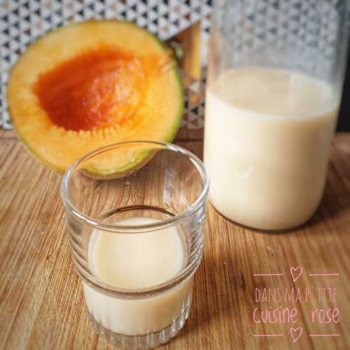 Lait végétal de pépins de melon