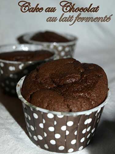 Cake au chocolat noir et au lait fermenté