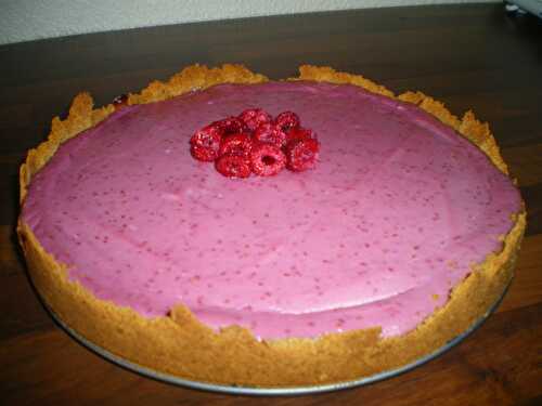 Cheesecake à la framboise et rhubarbe