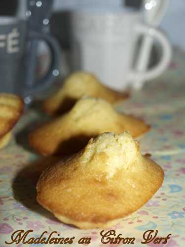 Madeleines au citron vert