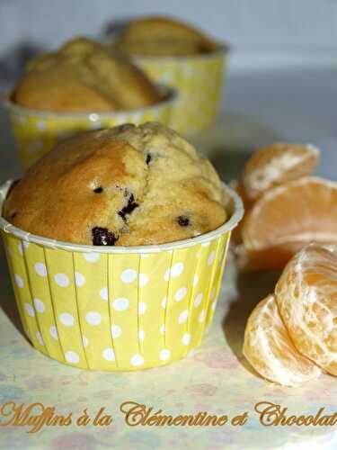 Muffins à la clémentine et chocolat