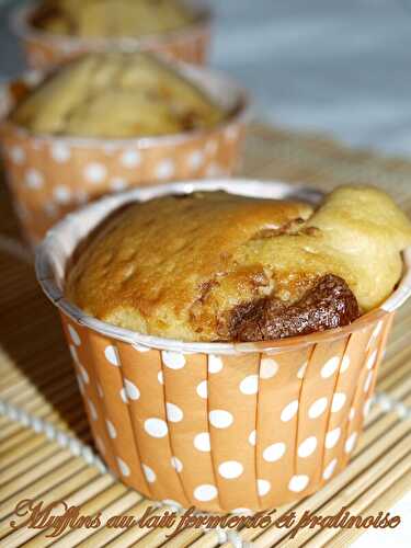 Muffins au lait fermenté et pralinoise