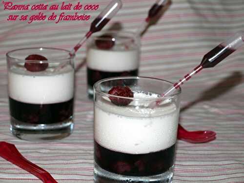 Panna cotta au lait de coco sur sa gelée de framboise