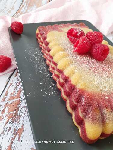 Gâteau zebra framboise citron