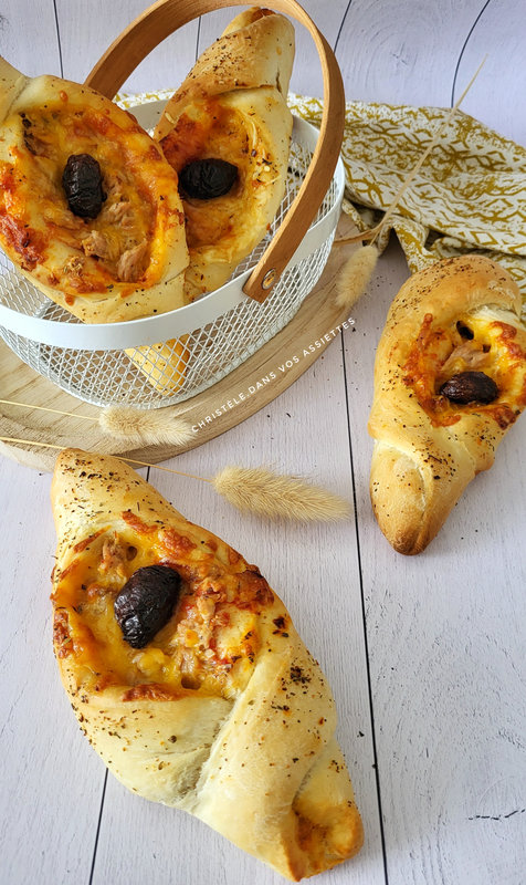 Pizza chausson tomate , thon et fromage 