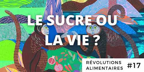 (Révolutions Alimentaires #17) : Le Sucre ou la Vie ?